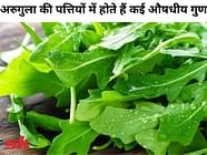  Arugula Ki Patti Mei 