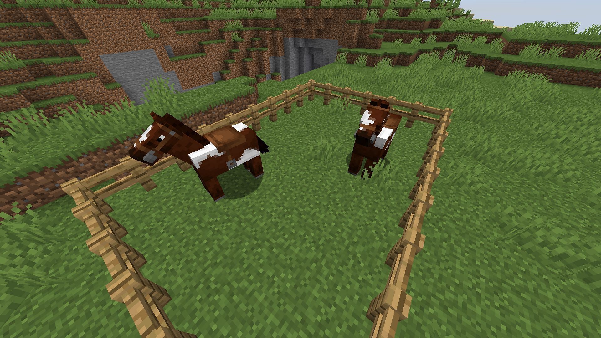 Both tamed and saddled (Image via Minecraft)