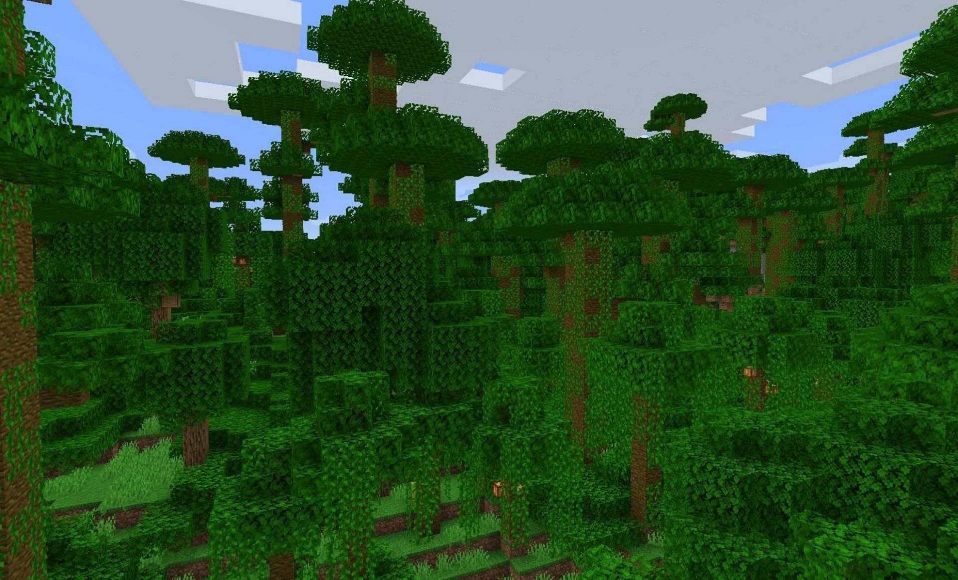 Jungle biome (Image via Minecraft Wiki)