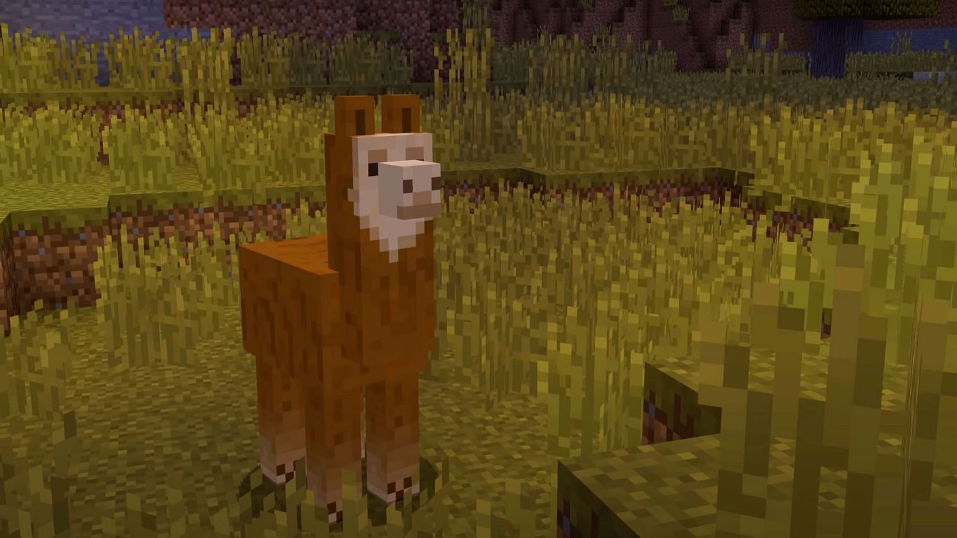 Players can tame Llamas to help them transport goods around (Image via Cubey/YouTube)
