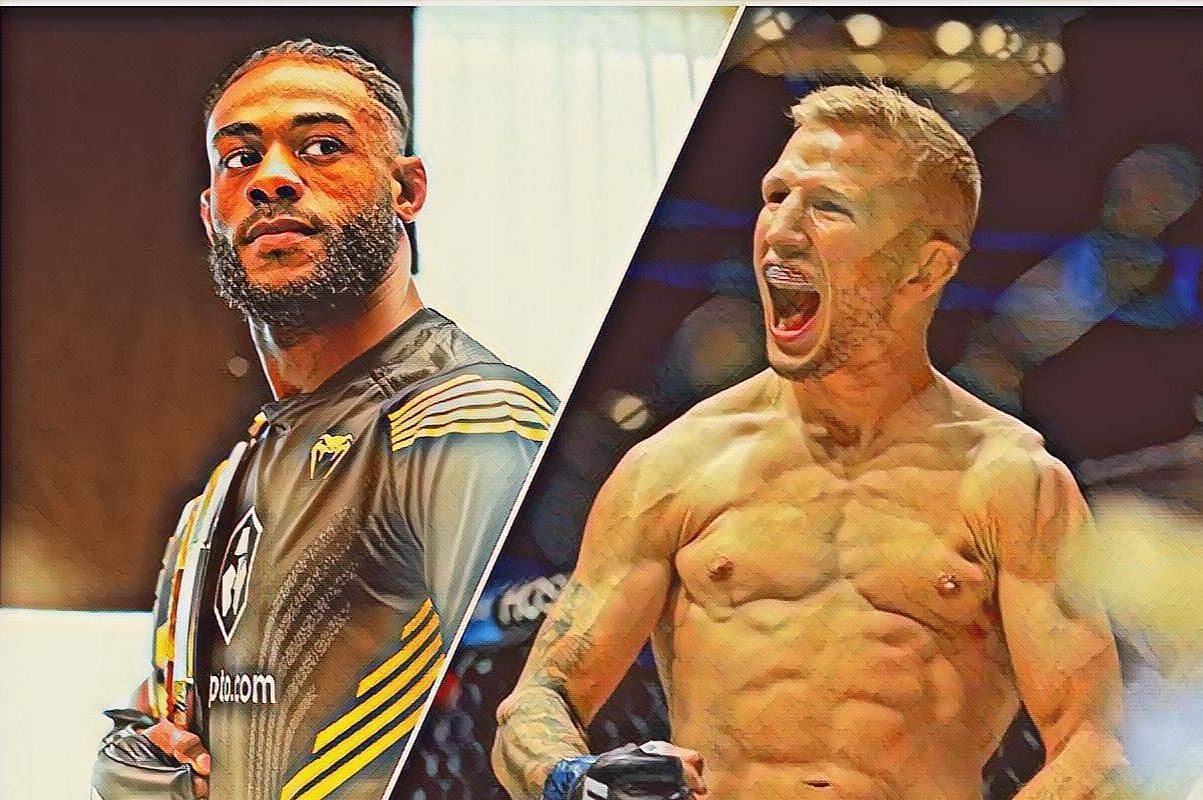 UFC bantamweights Aljamain Sterling (left) and T.J. Dillashaw (right) [Image via @aquabuddha7 on Twitter]