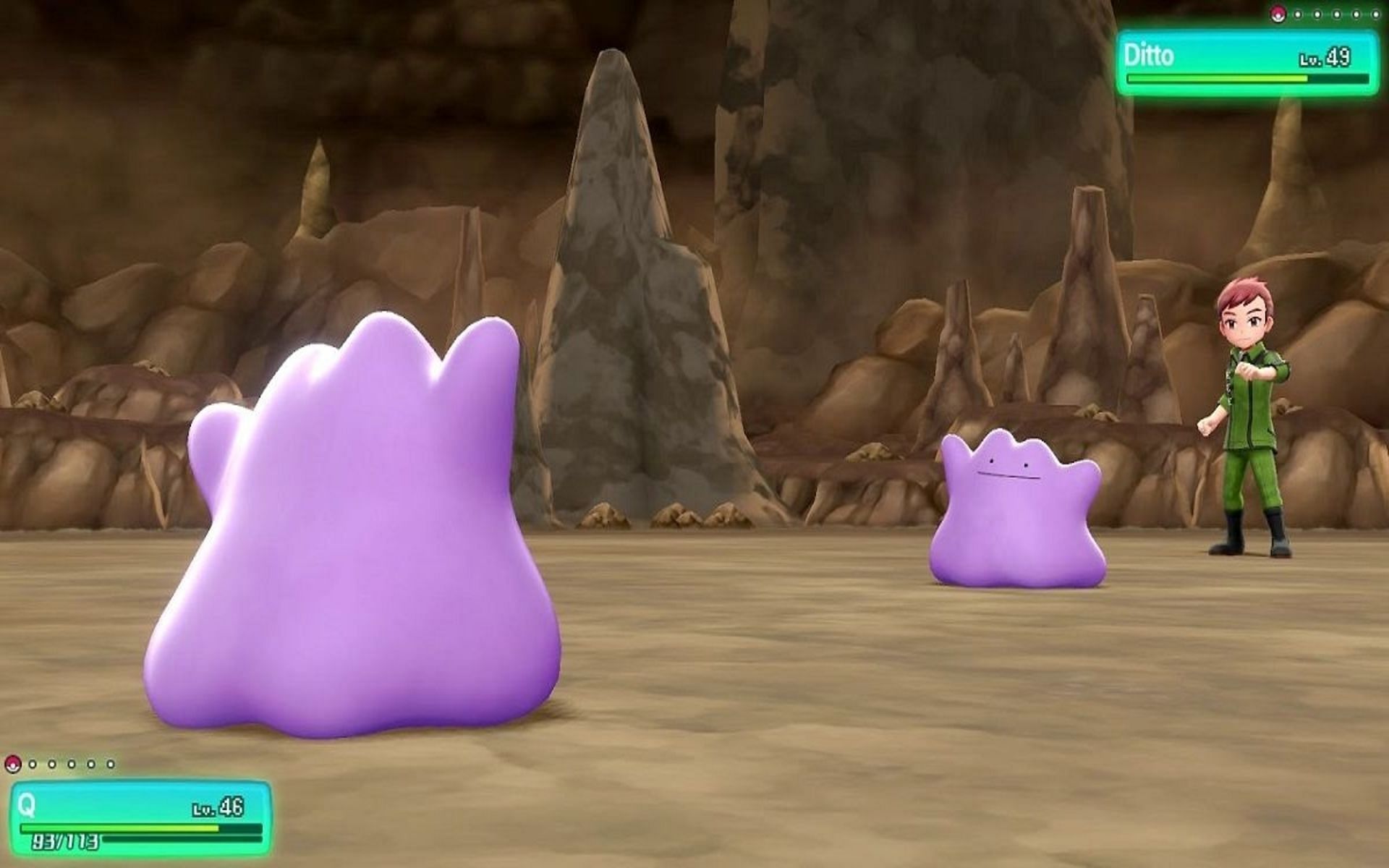 Ditto disguises are having an increased spawn rate (Image via ILCA)