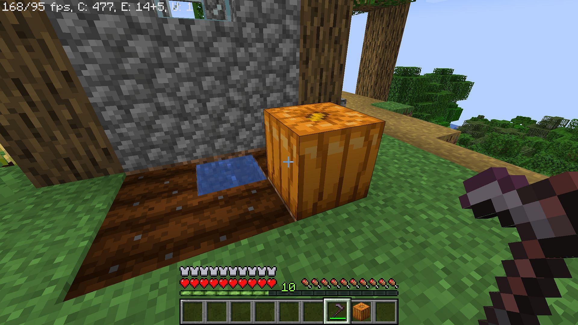 A grown pumpkin in a village (Image via Minecraft)