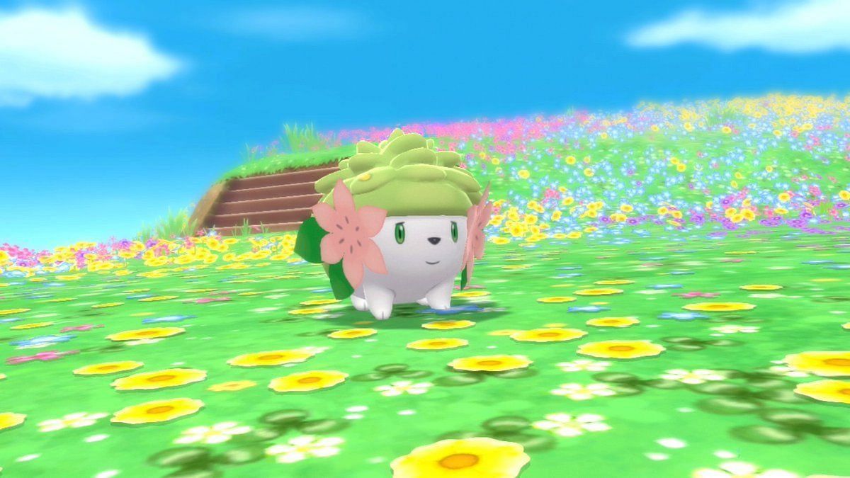 Shaymin could be revealed at GO Fest (Image via ILCA)