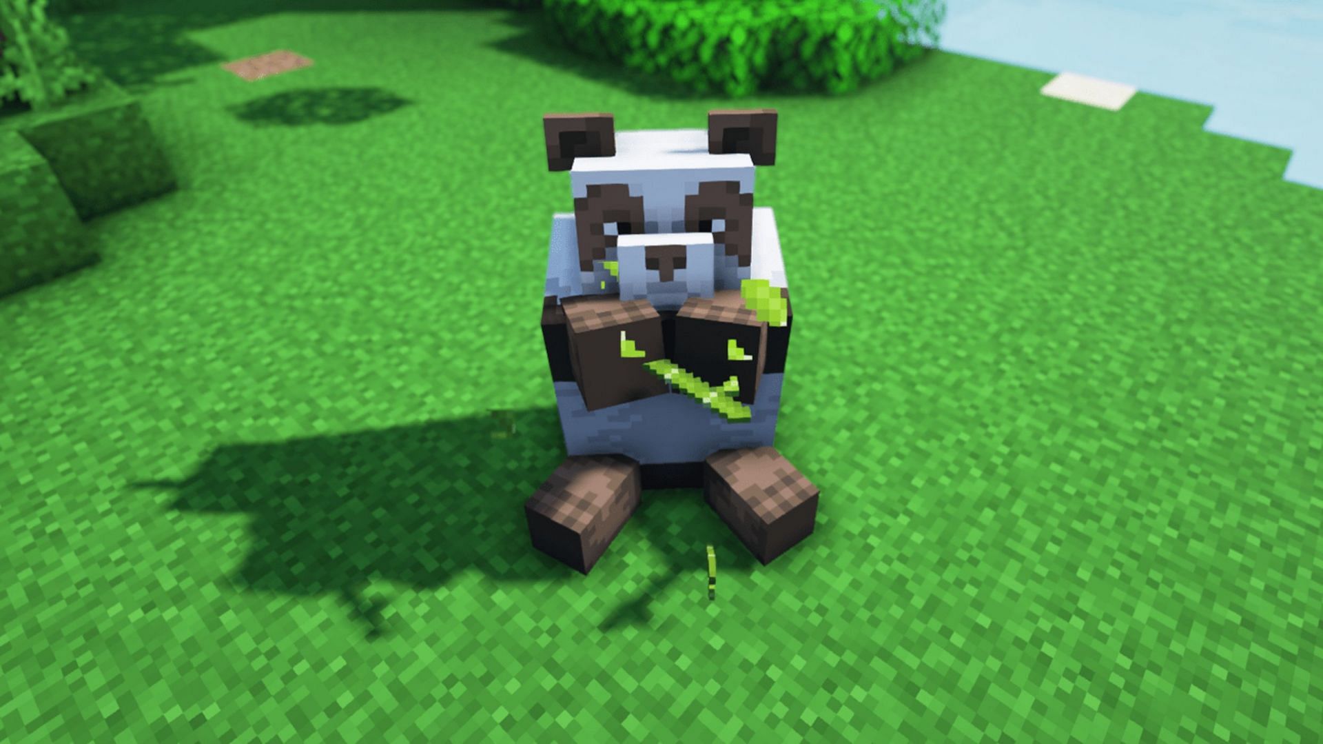 Brown pandas are much rarer than their black and white counterparts (Image via Mojang)