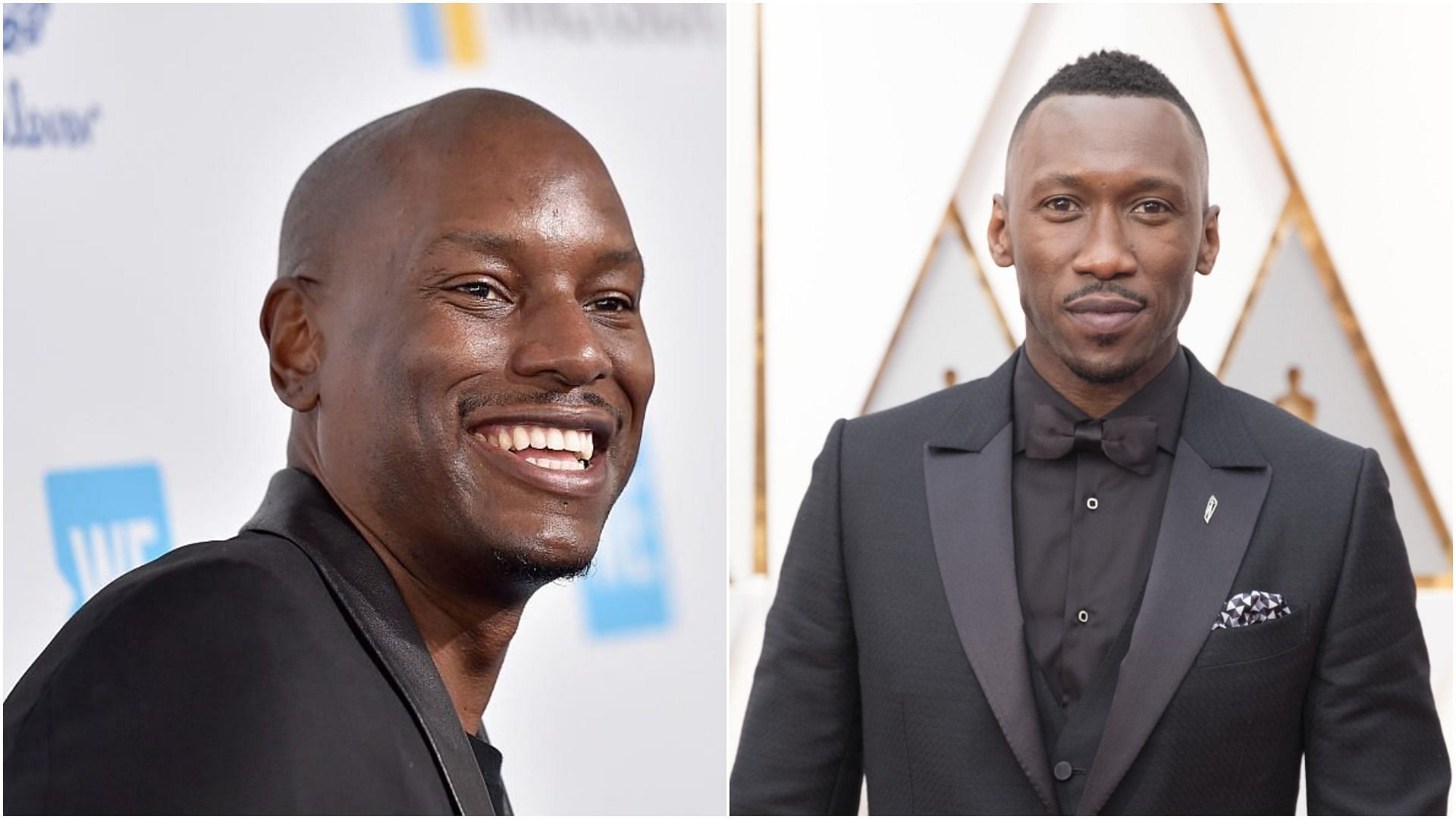Tyrese Gibson is rumored to replace Mahershala Ali in MCU&#039;s Blade (Image via Mike Windle/Getty Images, and Adam Rose/Getty Images)