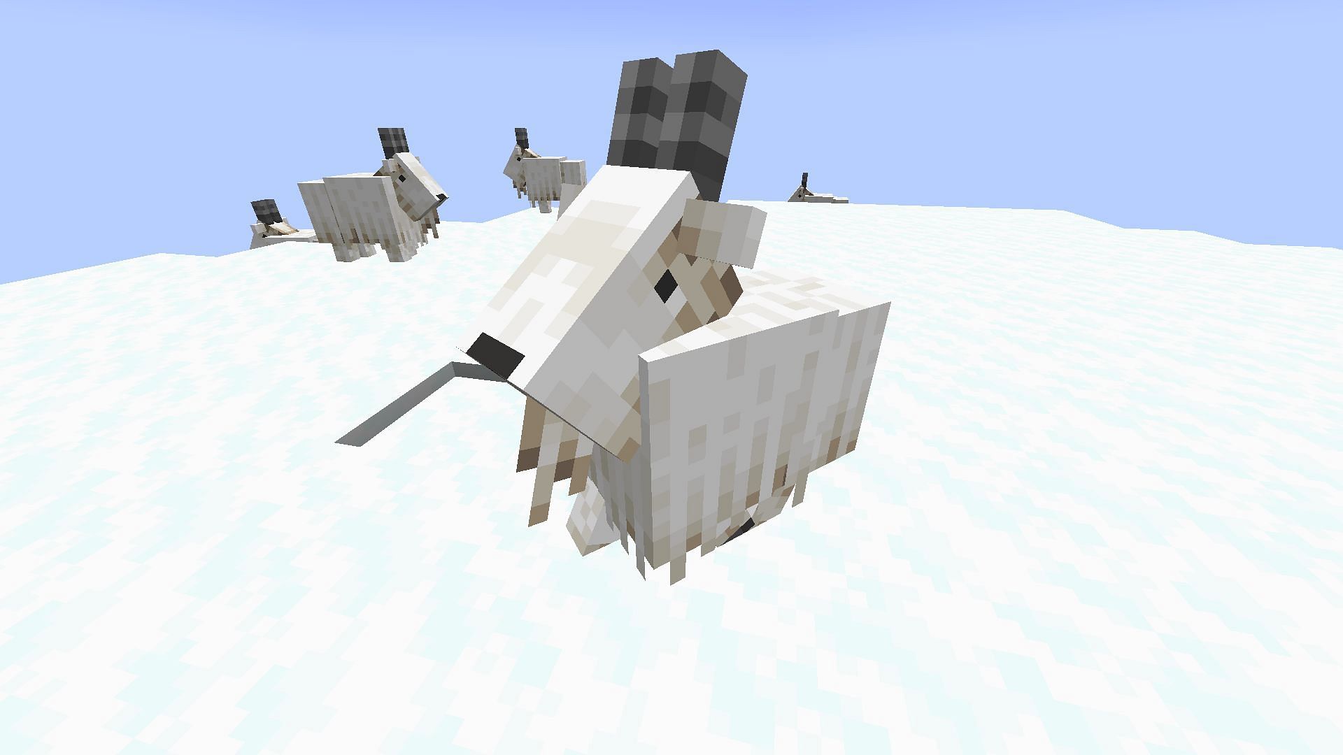 Goat can drop horns when they ram a block (Image via Mojang)