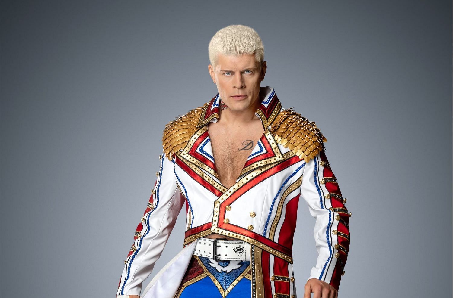 Cody&#039;s brother Dustin Rhodes spoke about the women&#039;s divisions