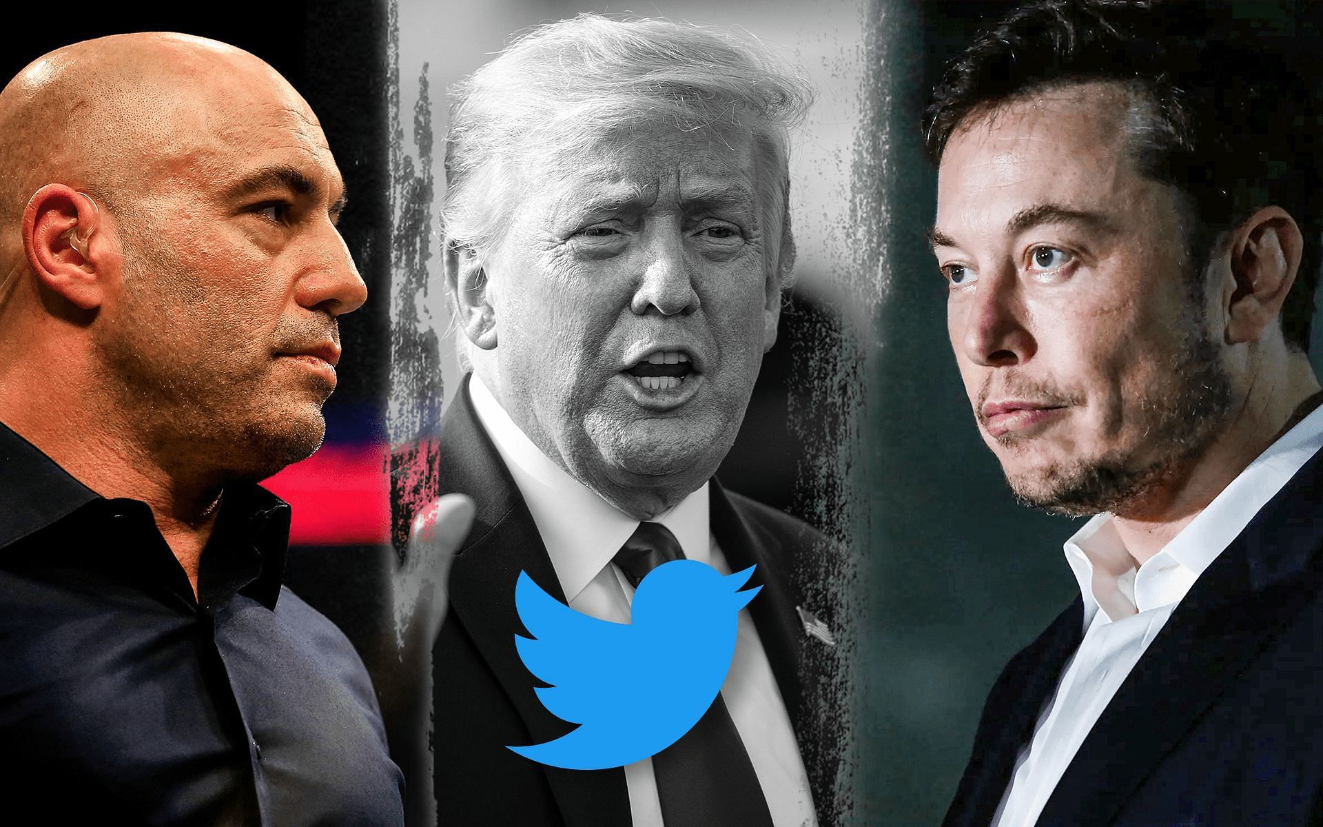 Joe Rogan urges Donald Trump to return to Twitter after Elon Musk take over [Photo credits: Wired.com &amp; Twitter.com]