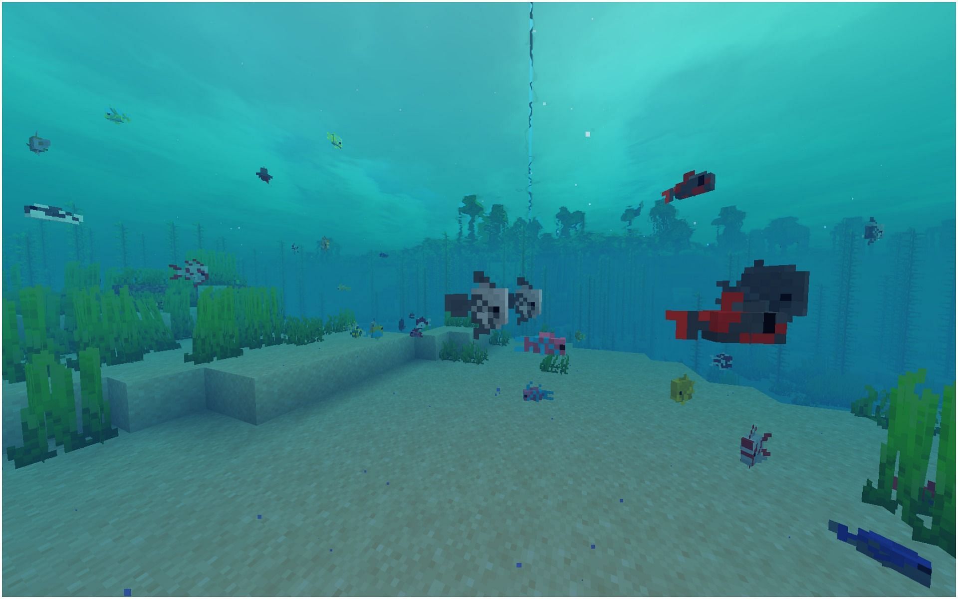 There are tons of tropical fish in the game (Image via Minecraft)