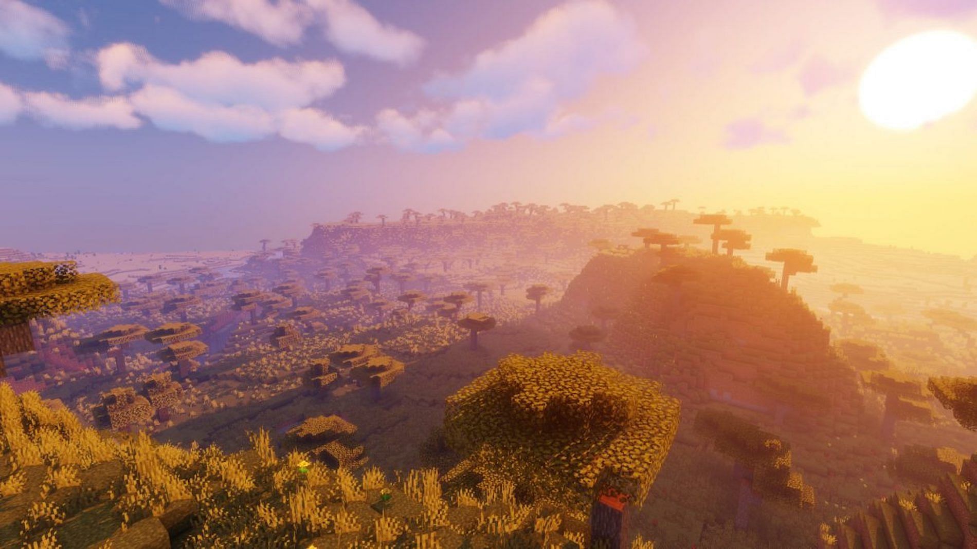 Savanna biome with shaders [Image via Minecraft]