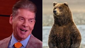 "I want a bear" - Vince McMahon pitched a match between a WWE icon and an animal