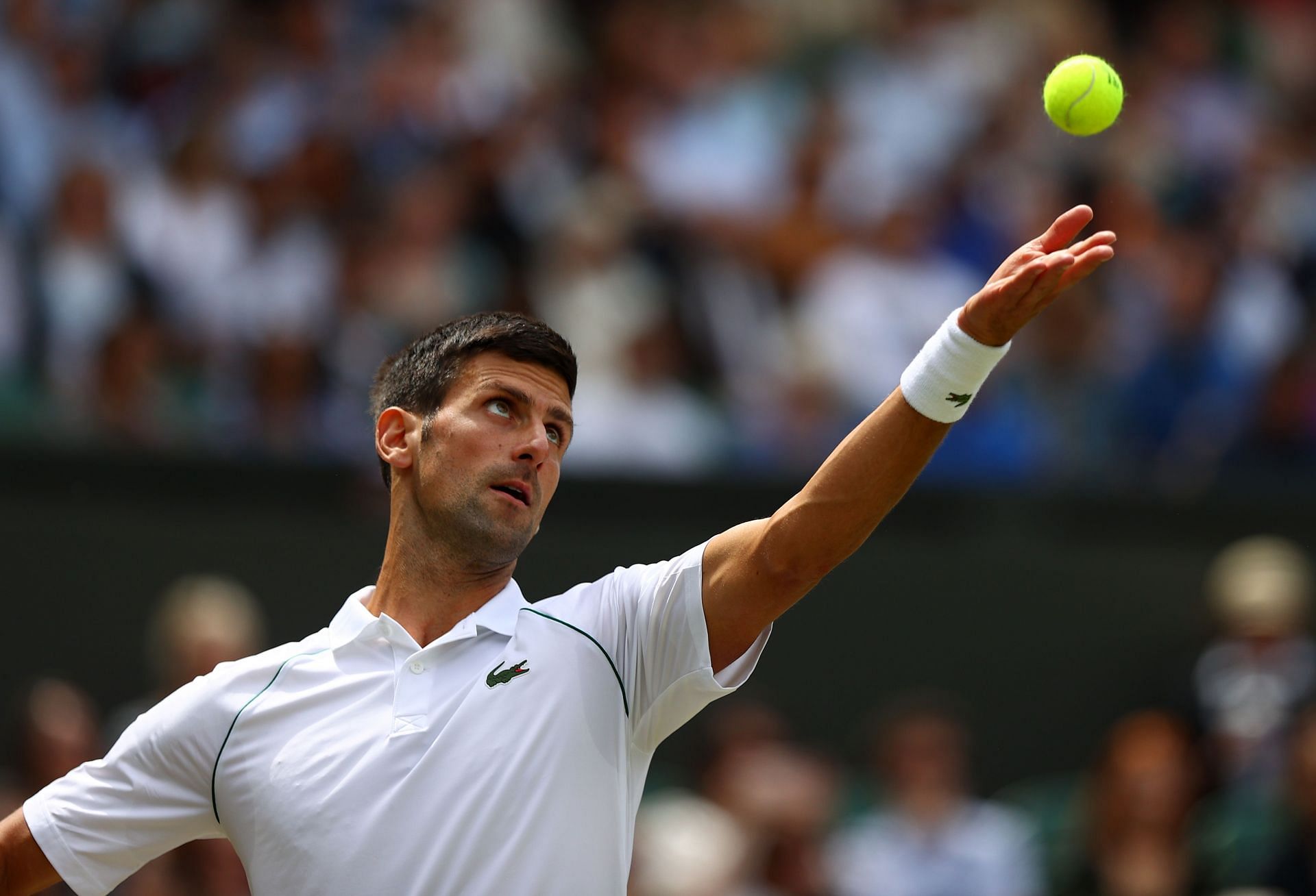 Djokovic beat Matteo Berrettini in the last year&#039;s final.