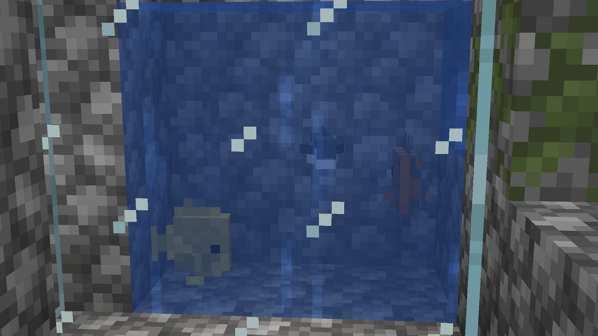These mobs can be kept as pets in an aquarium (Image via Minecraft)