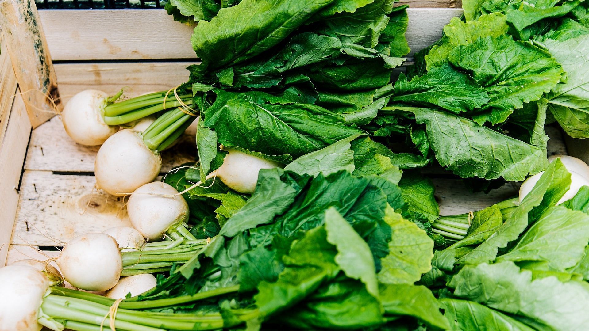 The radish offers plenty of benefits to those who consume it regularly (Image via Pexels/Daria Shevtsova)