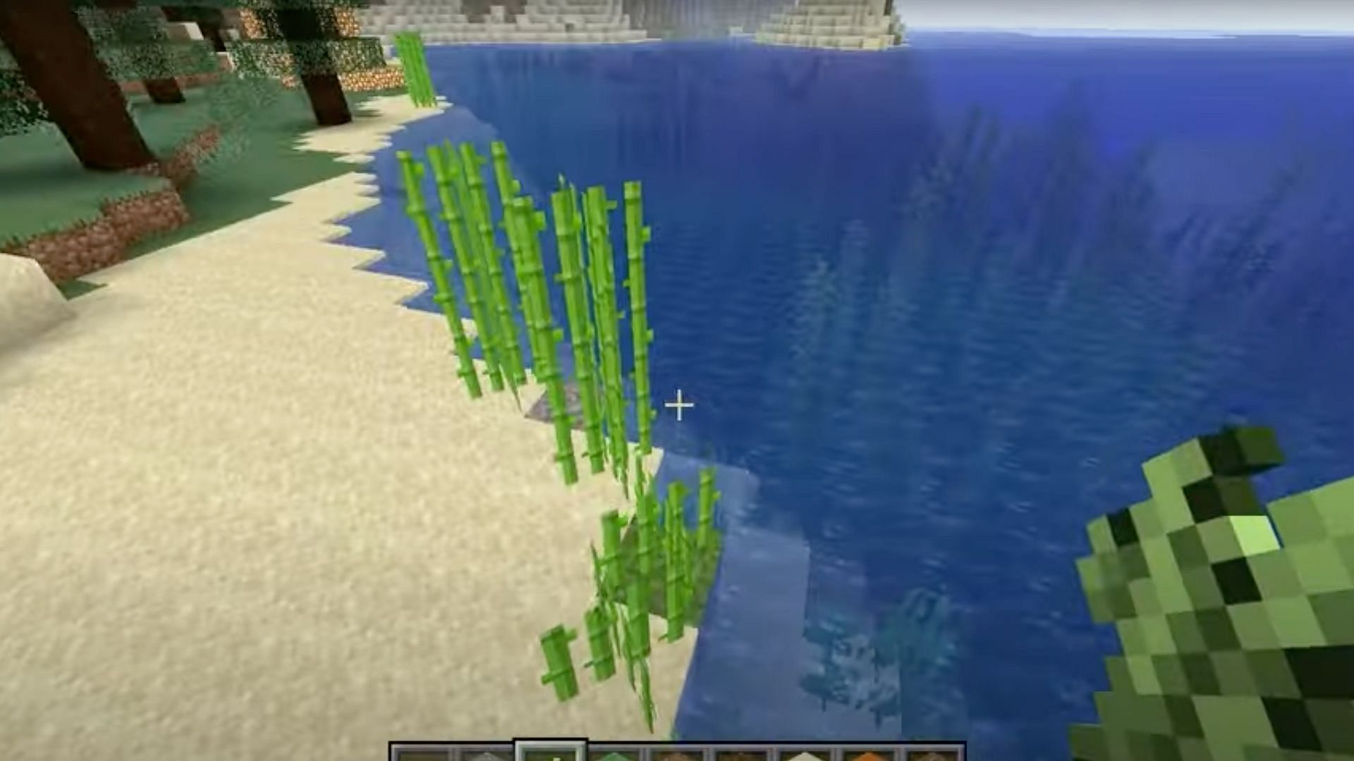 Players can locate Sugarcane near a body of water while inside of the Overworld in Minecraft (Image via Stingray Productions/YouTube)