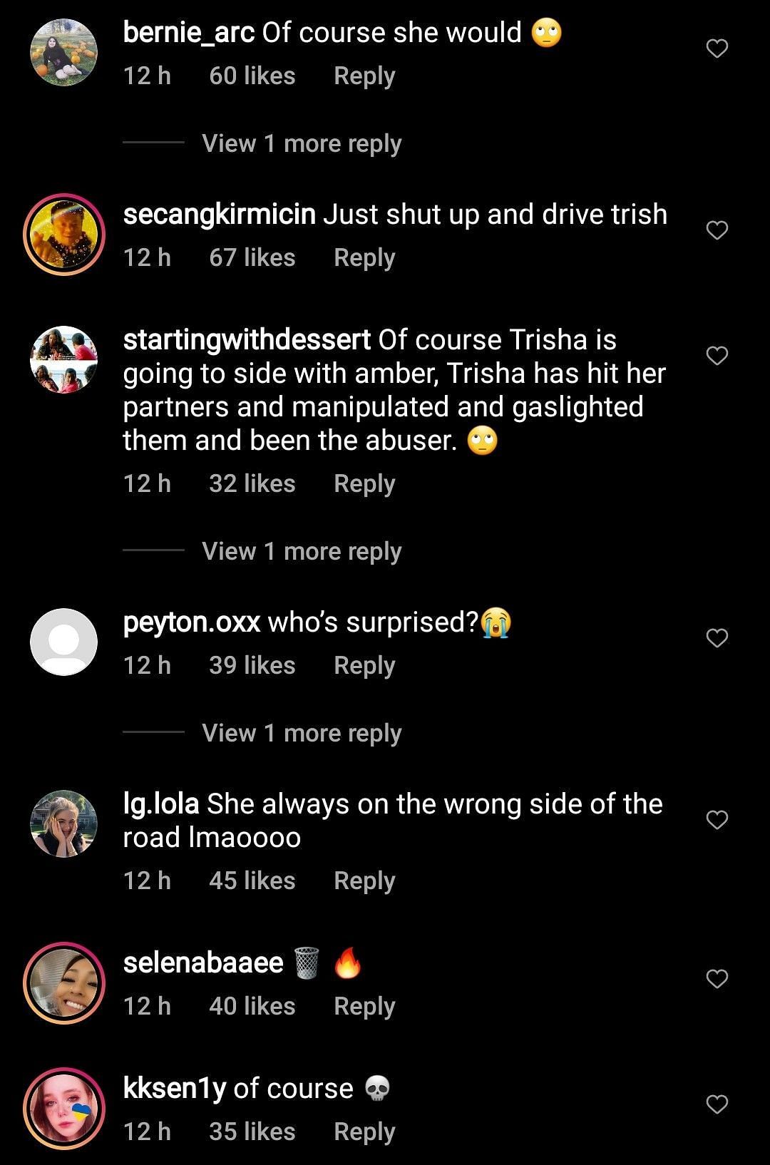Netizens react to Trisha Paytas seemingly supporting Amber Head 2/3 (Image via defnoodles/Instagram)