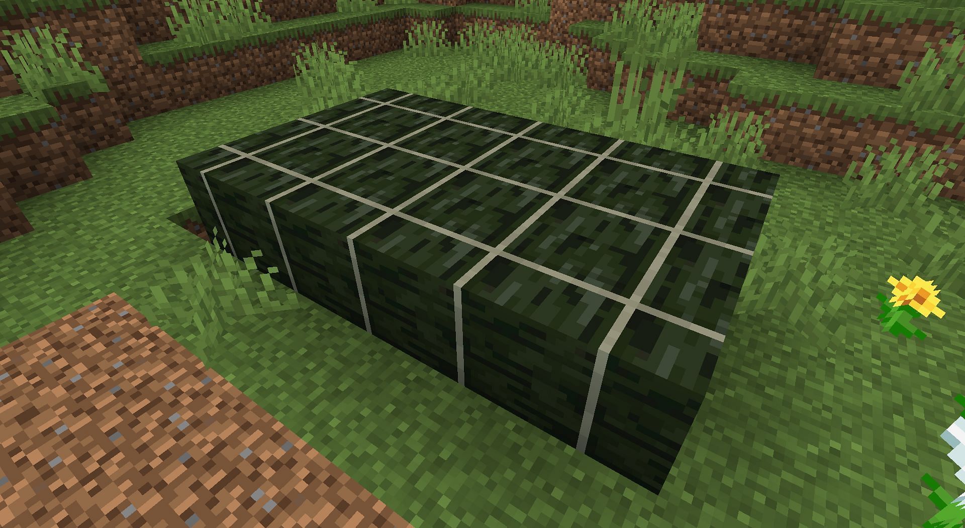 Dried kelp blocks (Image via Minecraft)