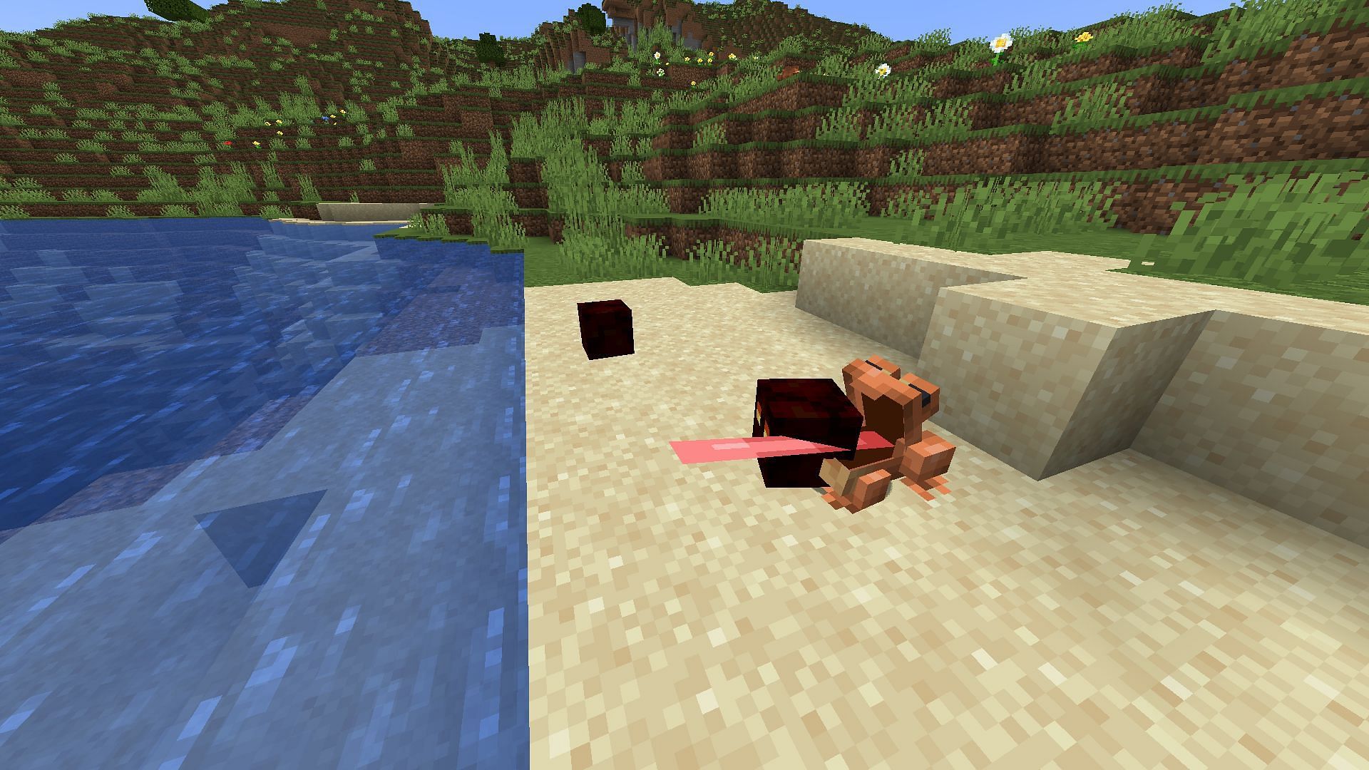 Magma cube being eaten by frog (Image via Minecraft)