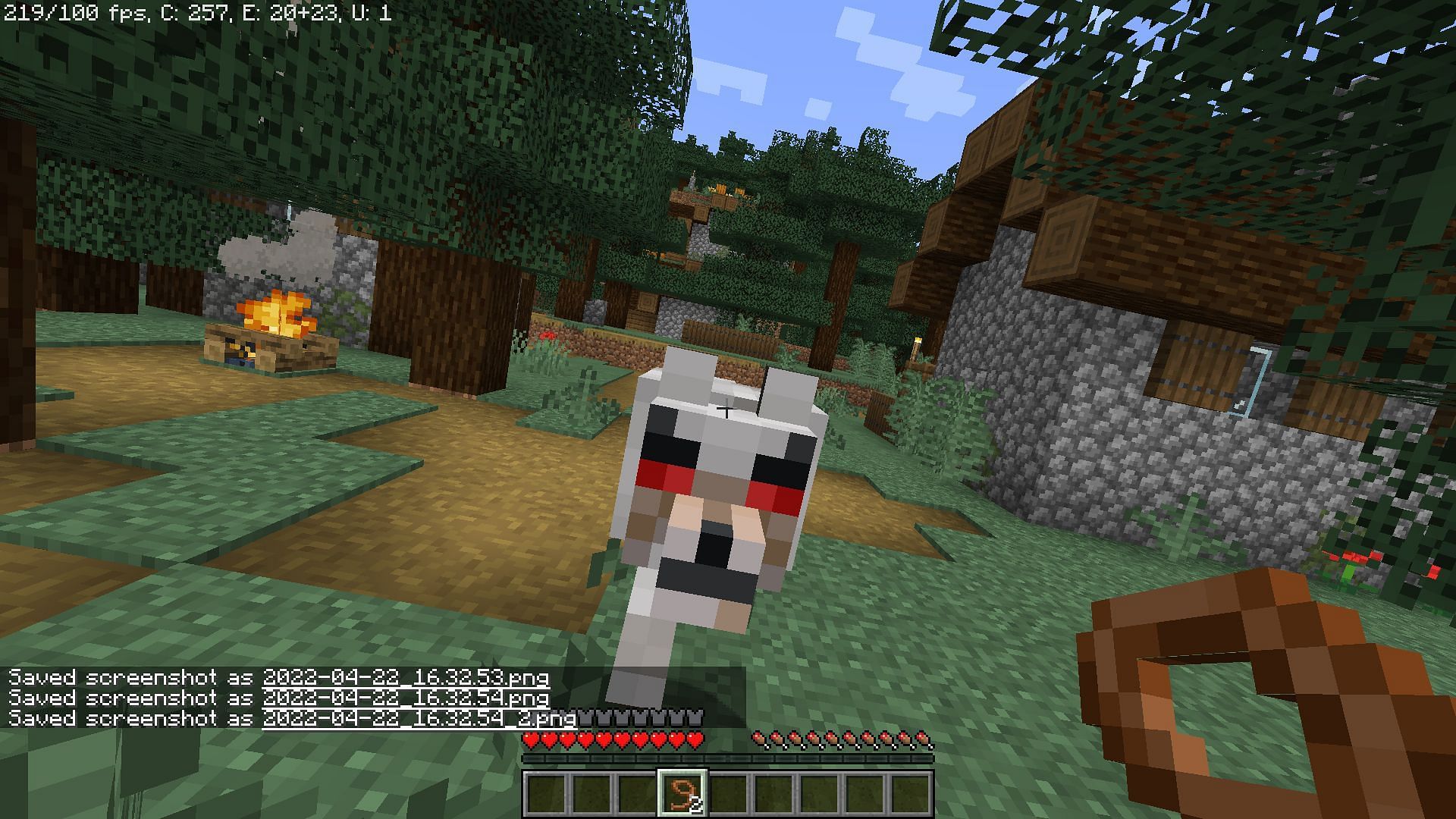 Angry wolves cannot be tamed (Image via Minecraft)