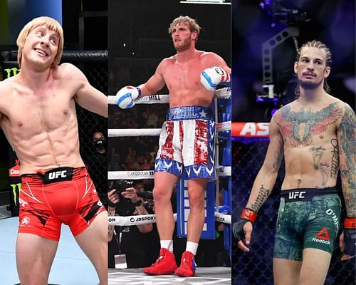 Paddy Pimblett (LEFT), Logan PAul (MIDDLE), Sean O'Malley (RIGHT) (Sources: MMA Mania, MMA Fighting)