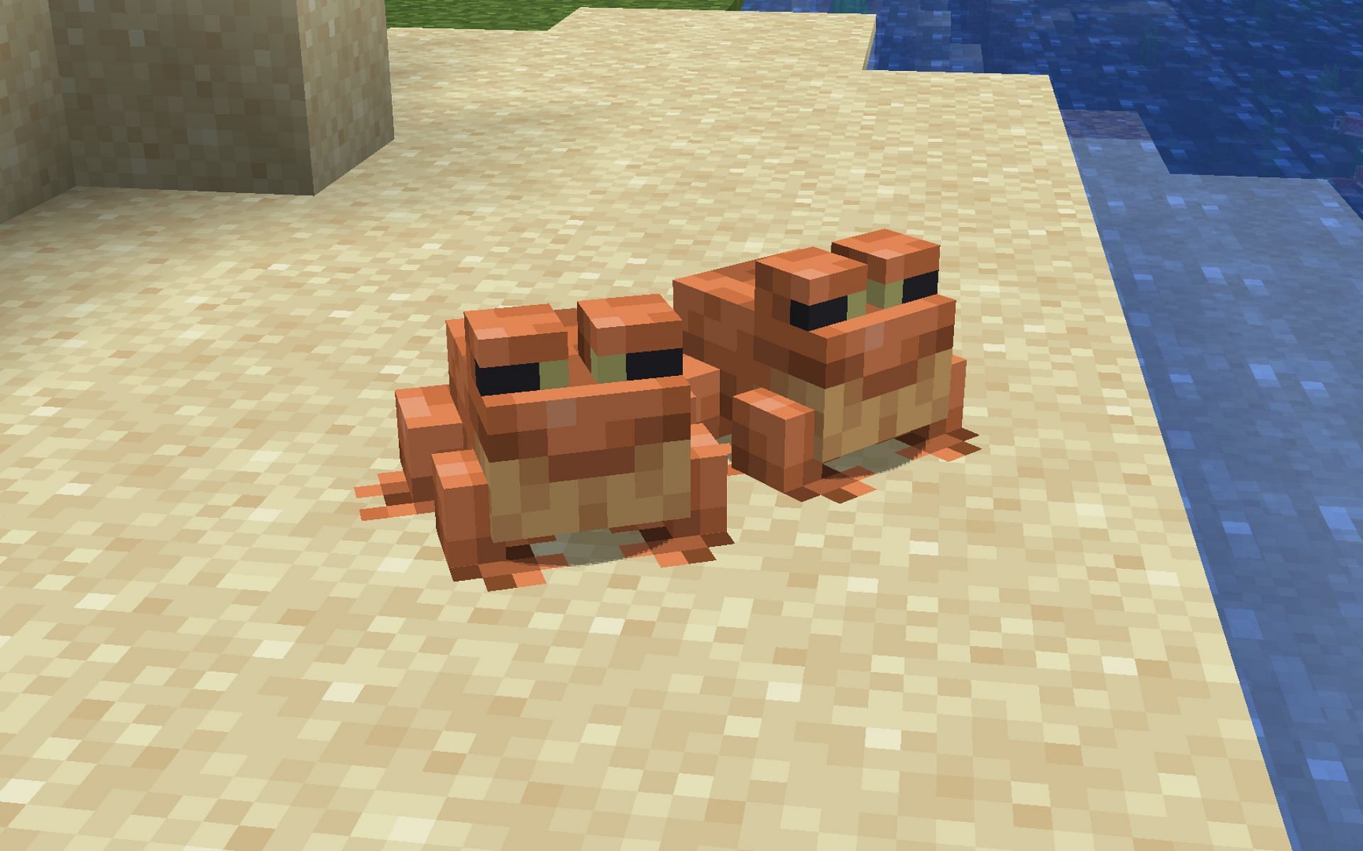 Two orange frogs (Image via Minecraft)