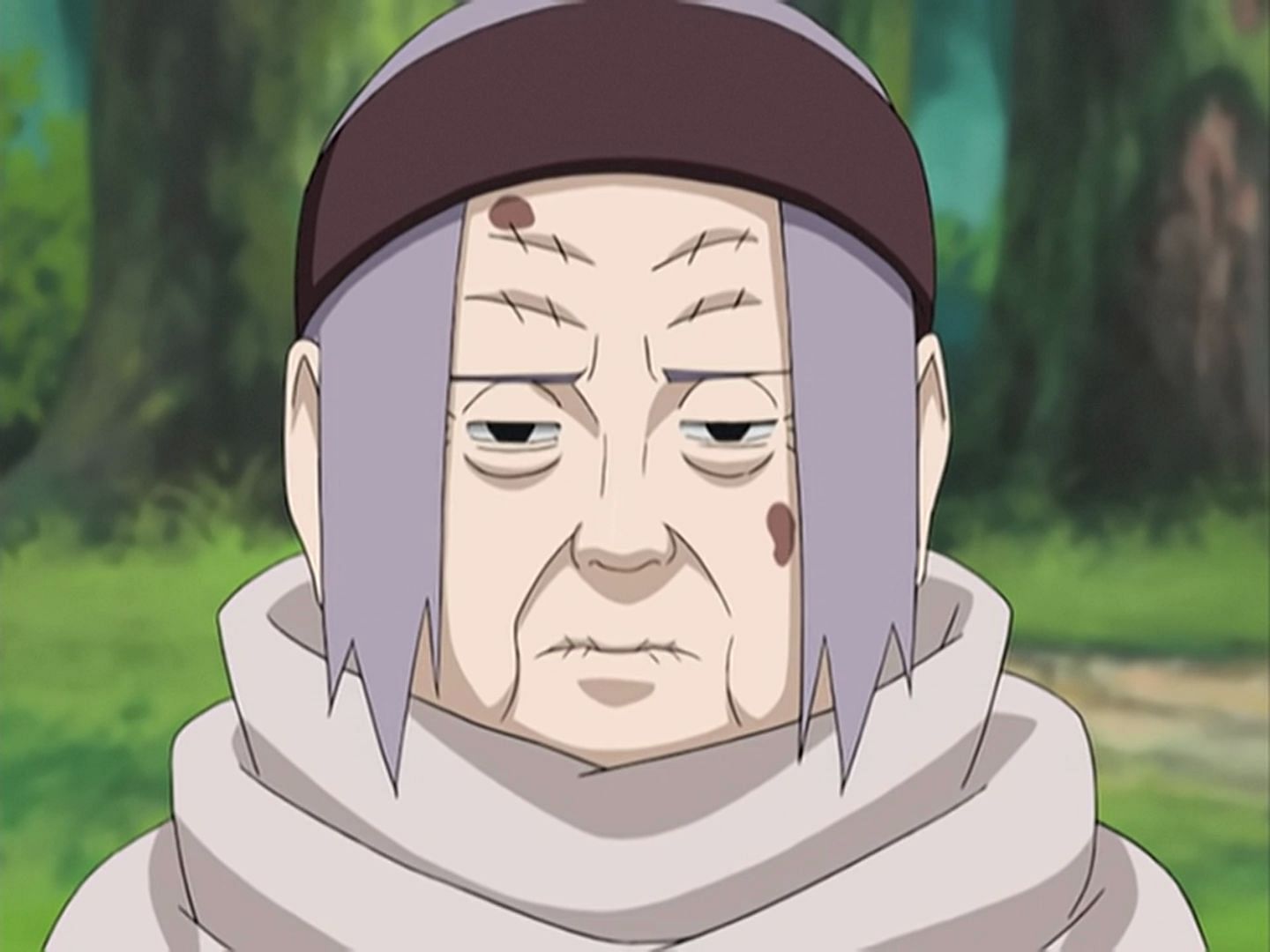 Chiyo from the Naruto series (image via Pierrot)