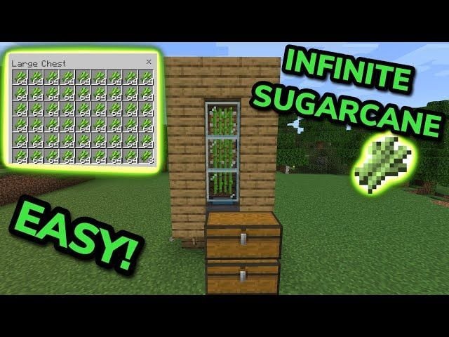 5 things you might not know about paper in Minecraft