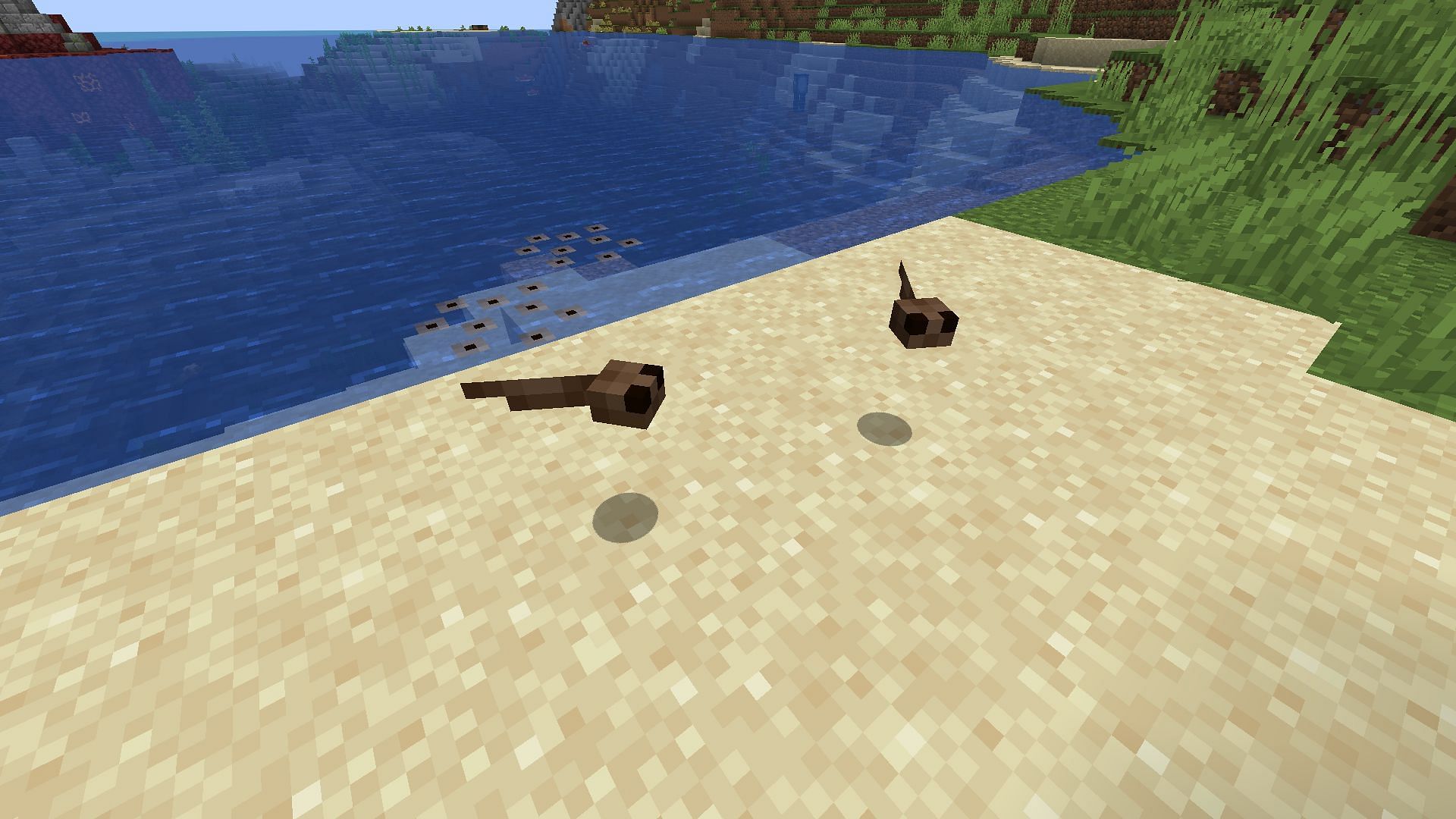 Tadpoles (Image via Mojang)