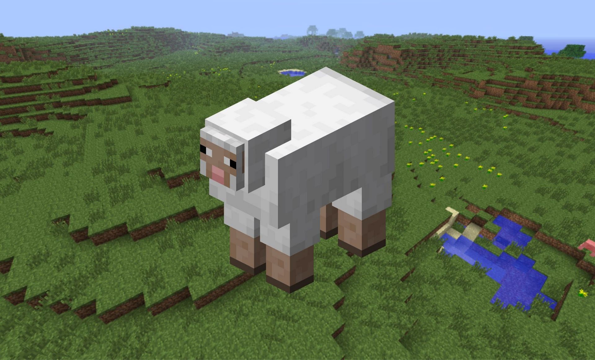 Sheep are a popular mob and often get skins (Image via Mojang)