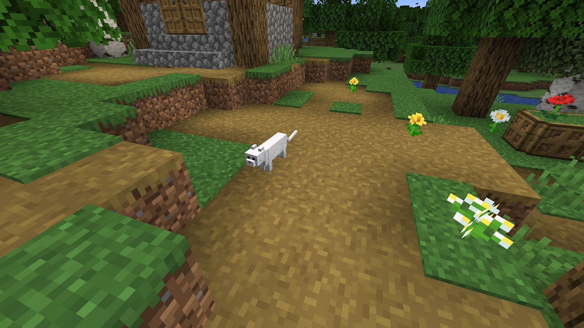 Katė kaime (vaizdas per „Minecraft“)
