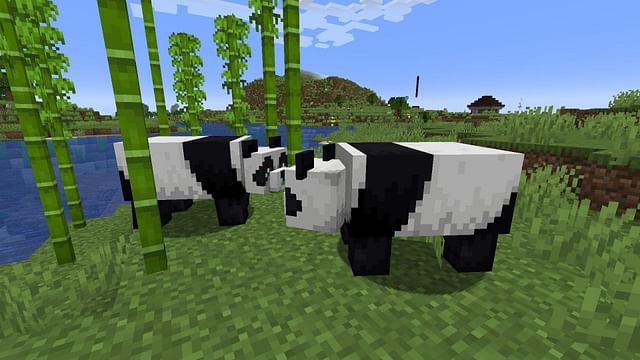 5 things you did not know about bamboo in Minecraft