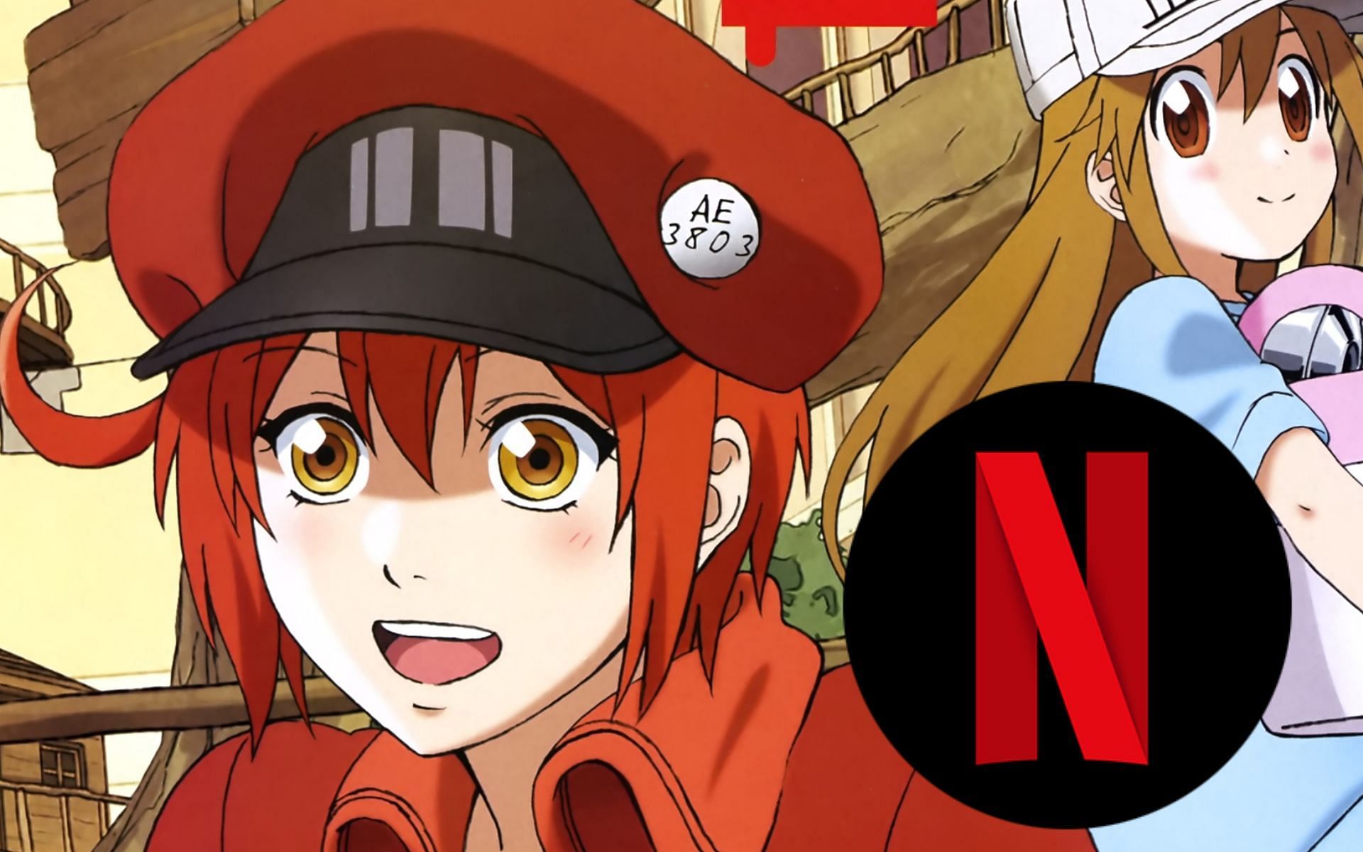 Cells at Work! is a good example of an underrated anime show on this platform (Image via David Production, Netflix)