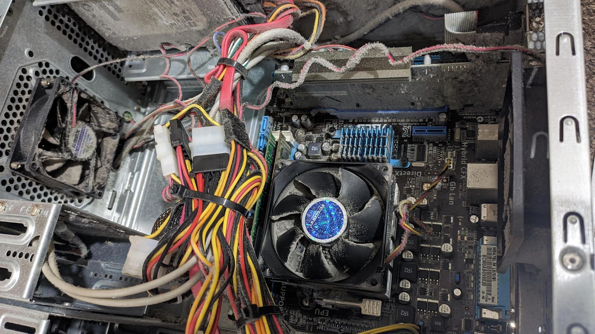 Dust build-up reduces the life of your PC (Image via u/diego1493/Reddit)