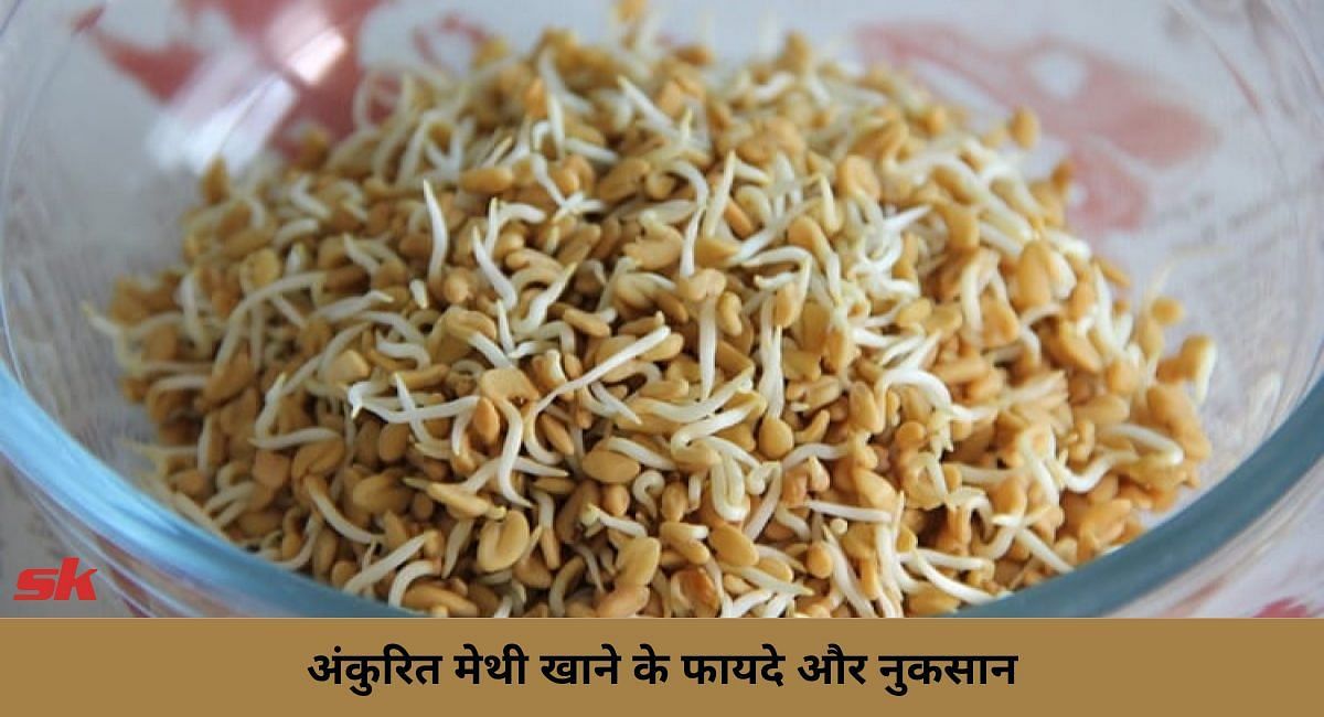 अंकुरित मेथी खाने के फायदे और नुकसान (फोटो-Sportskeeda hindi)