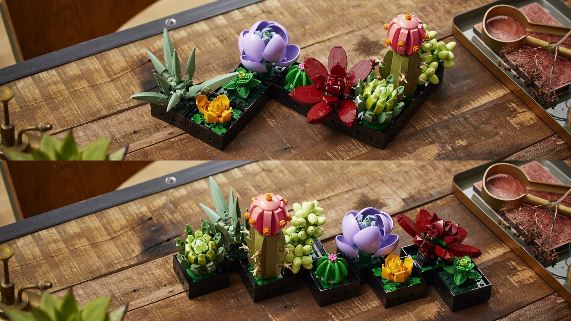 The arrangement of the Succulents Set is customizable (Image via brand)
