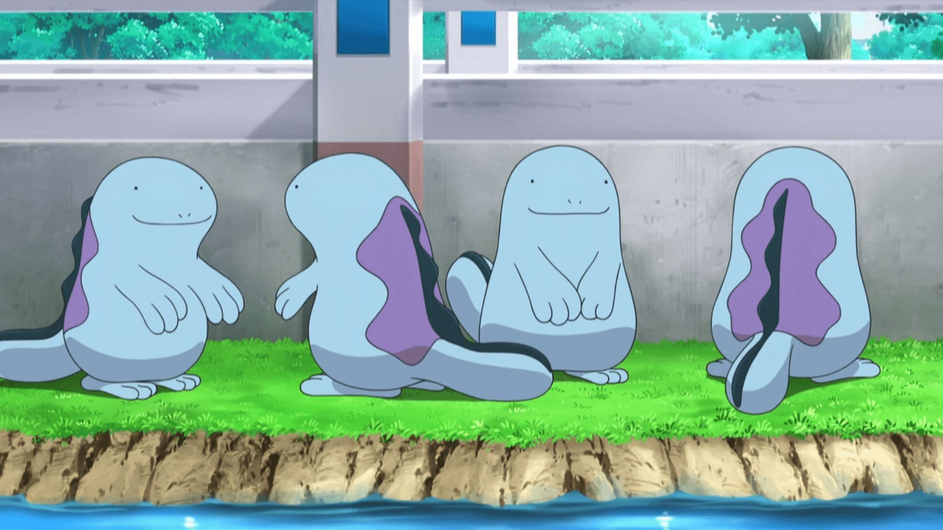 A gang of Quagsire as they appear in the anime (Image via The Pokemon Company)