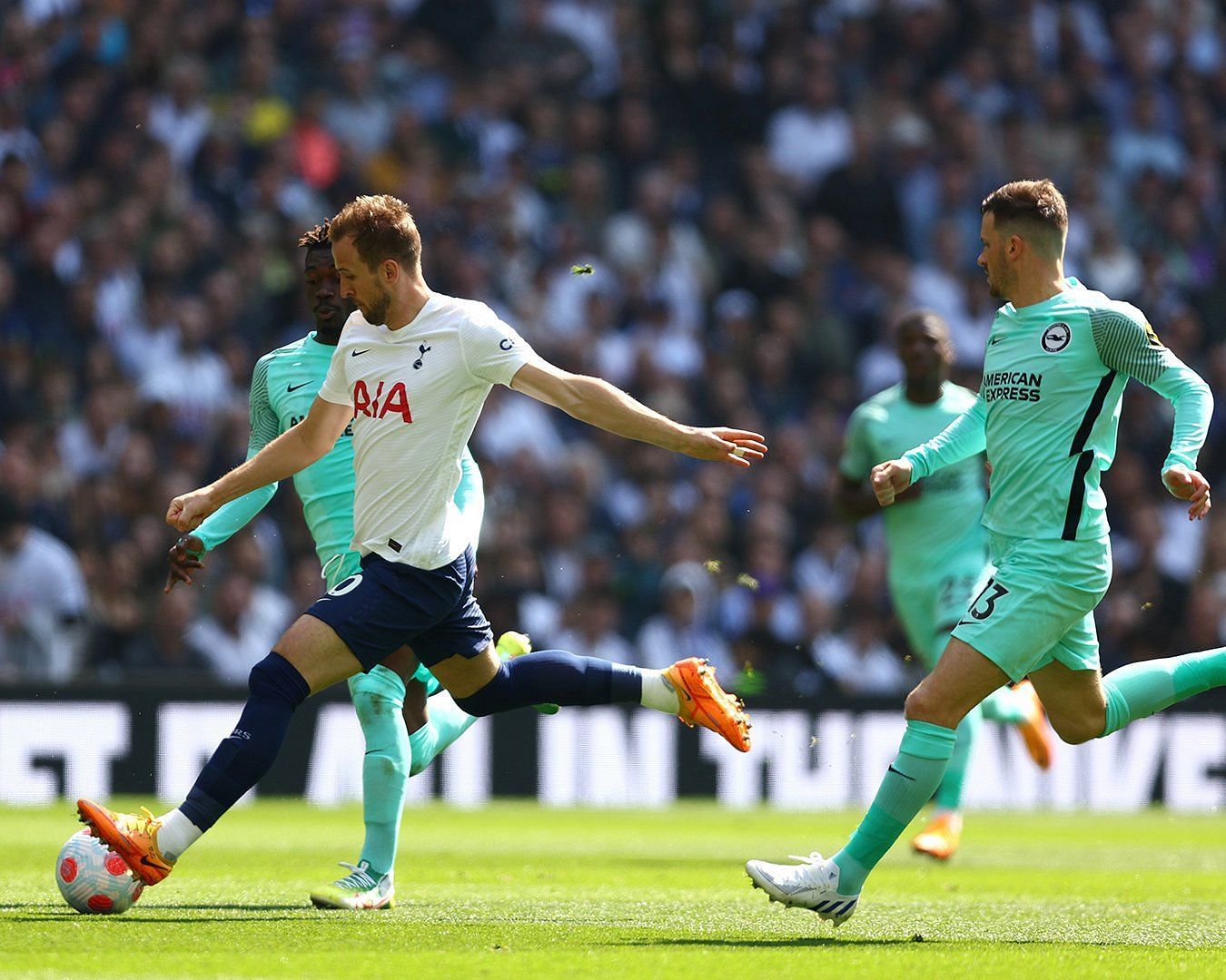 Tottenham&#039;s four-game winning run was ended after defeat to Brighton