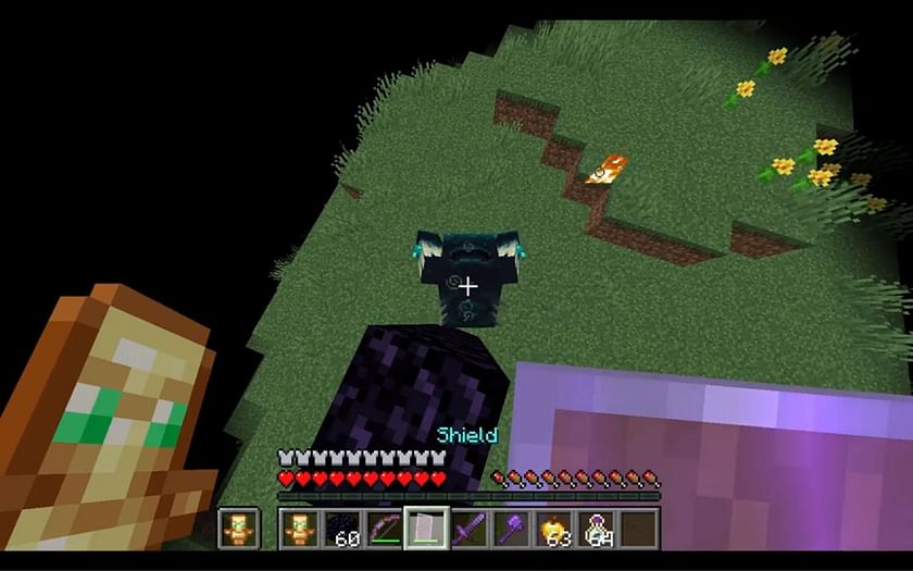 Minecraft Redditor tries Warden's ranged attack on Ender Dragon, and you  won't believe the results
