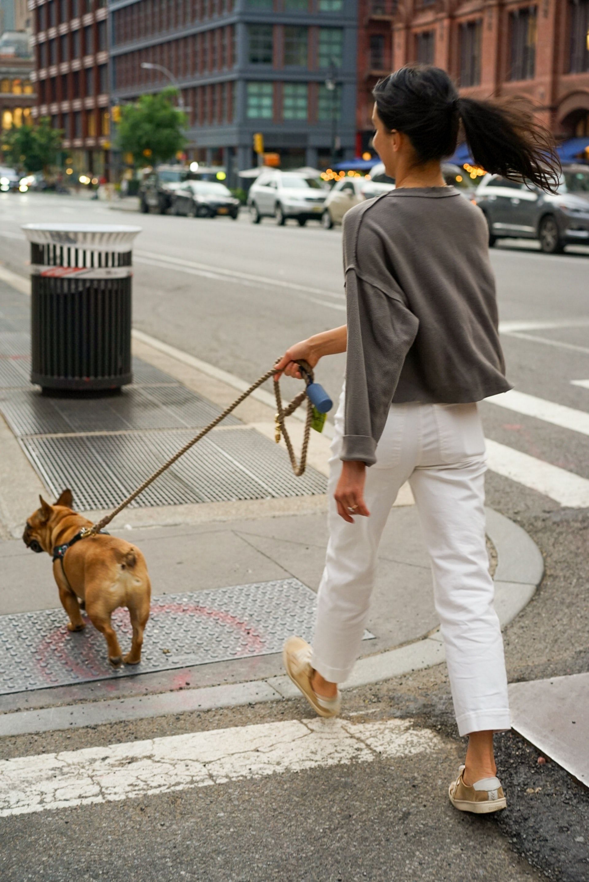 Walk your pet and increase your daily movement. (Photo by Megan (Markham) Bucknall via pexels )