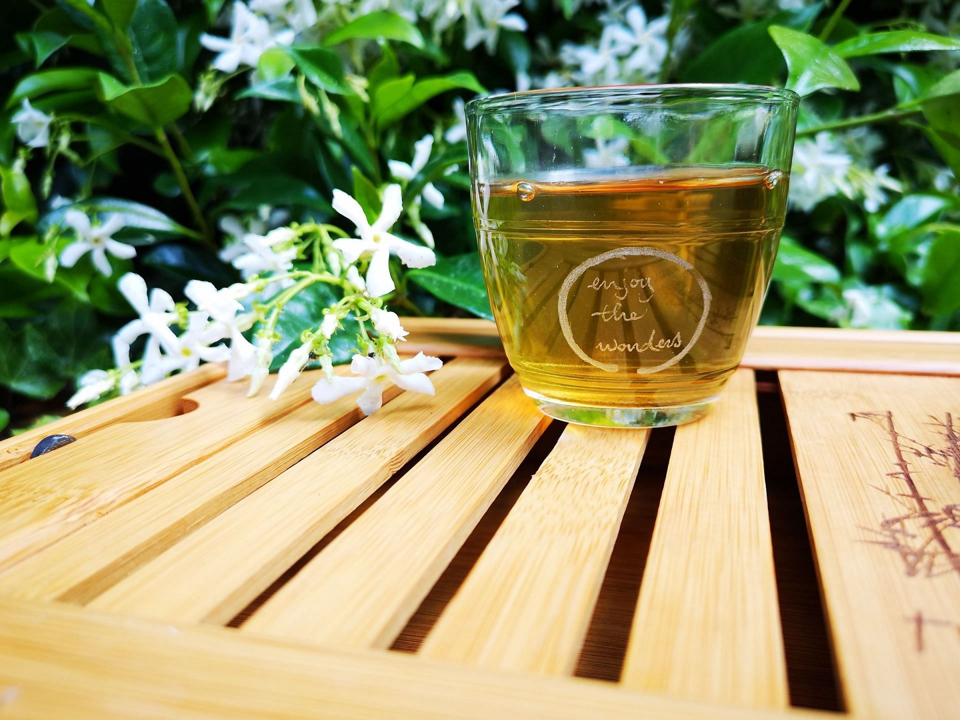 A cup of freshly made green tea (Photo by Verena B&ouml;ttcher on Unsplash)