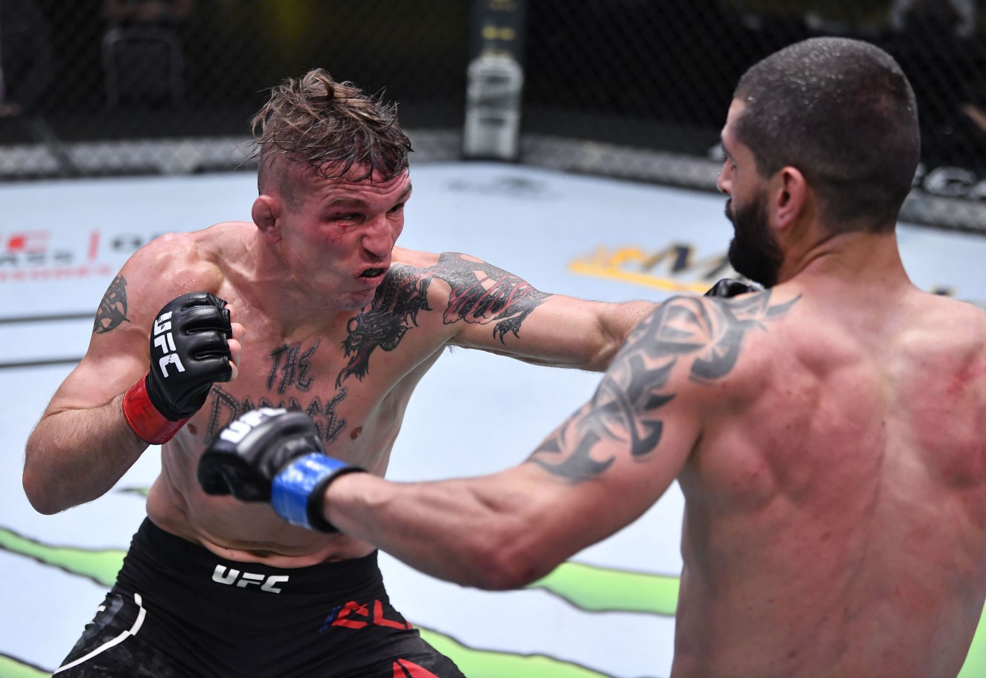 Darren Elkins rarely fails to deliver wild action in the octagon