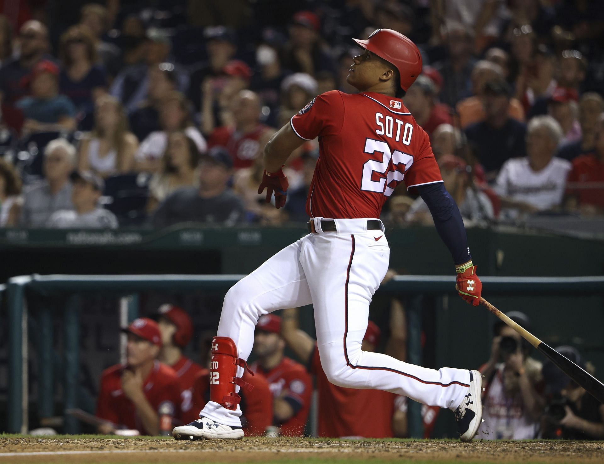 Juan Soto is on track for a stellar season