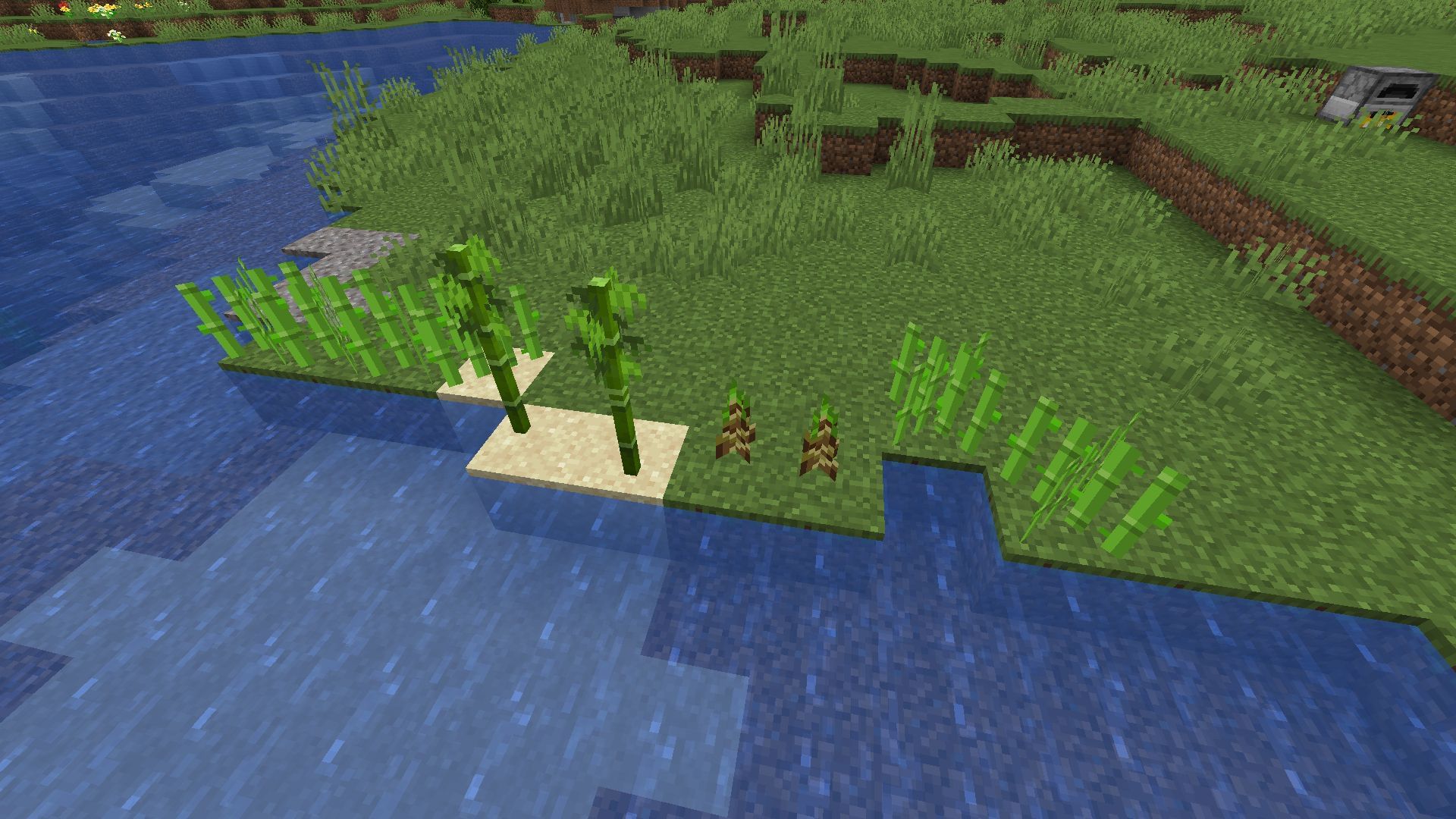 Bamboo next to sugar cane (Image via Minecraft)