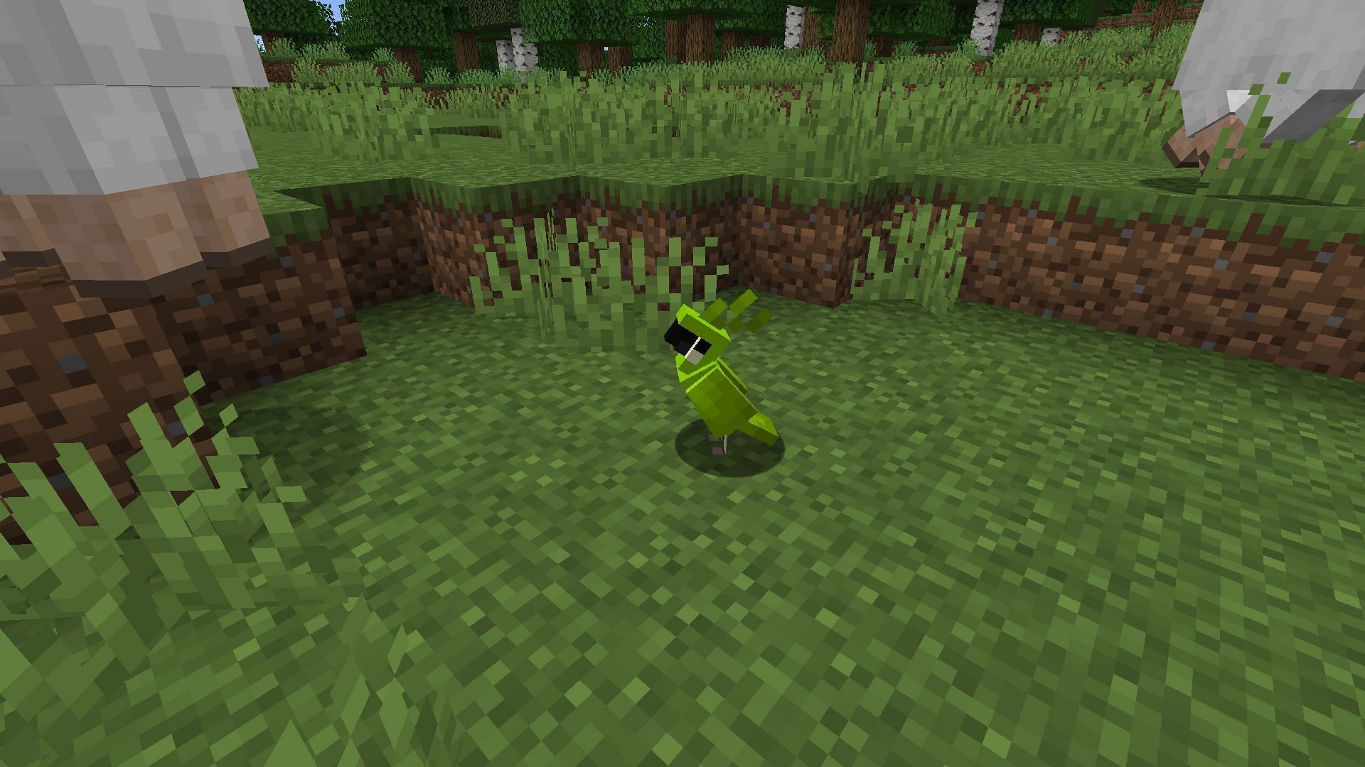 Prijaukinta žalia papūga, sėdinti ant žemės (vaizdas per „Minecraft“)
