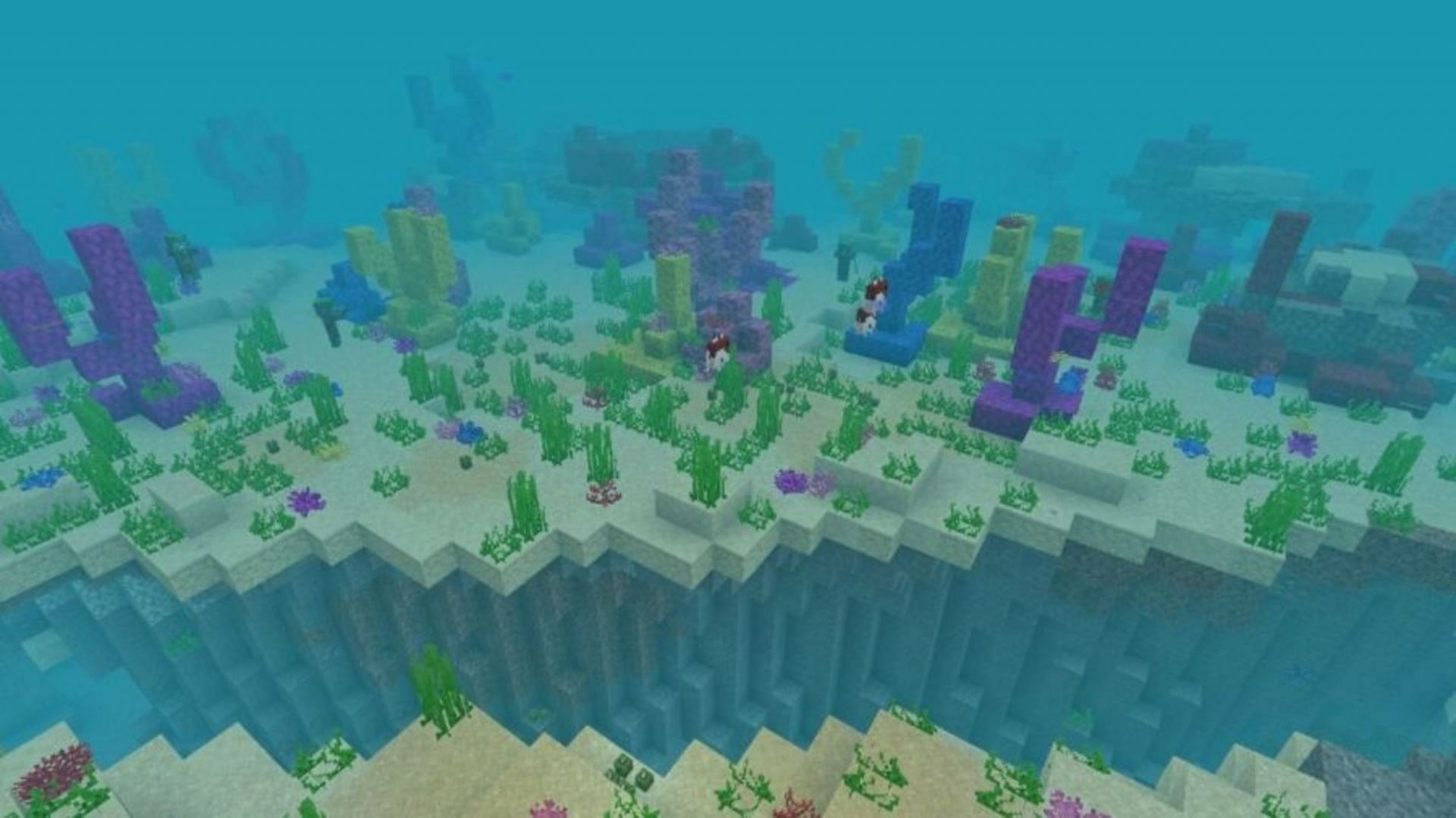 This is one of the best possible seeds for finding coral reefs (Image via Mojang)