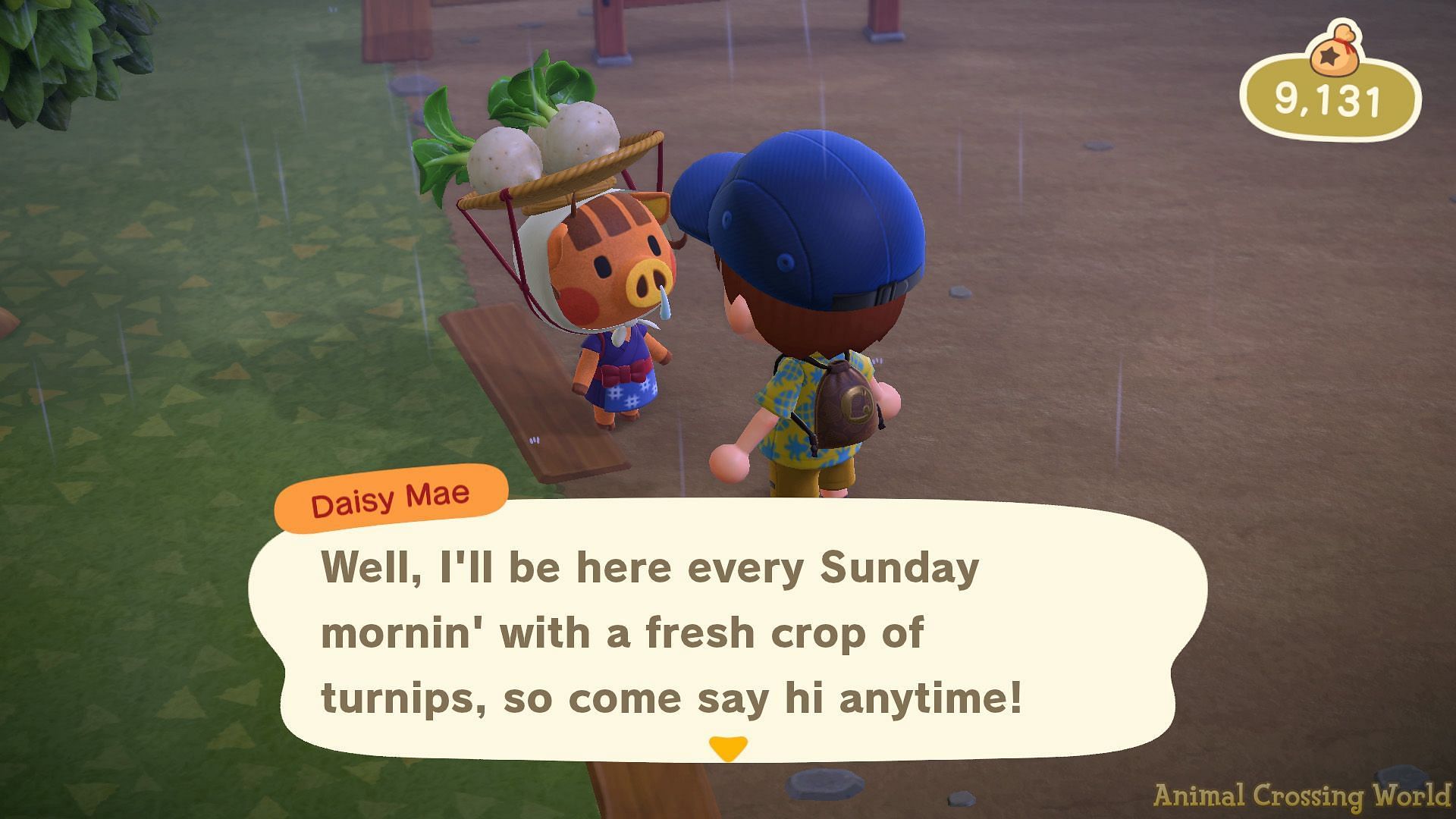 Turnip trade is a very important thing in Animal Crossing: New Horizons (Image via Animal Crossing World)