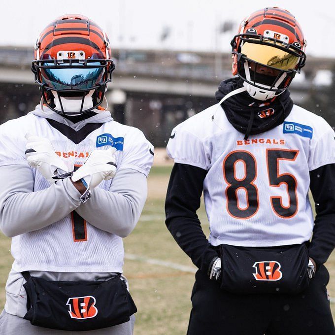 Bengals WR Tee Higgins to change from Chad Ochocinco's No. 85 to No. 5