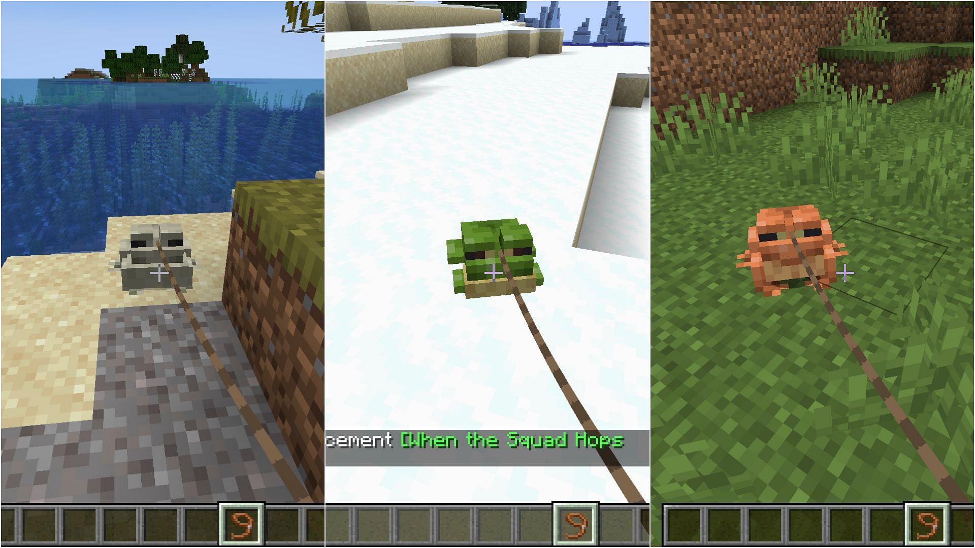 All three frogs on a leash (Image via Mojang)