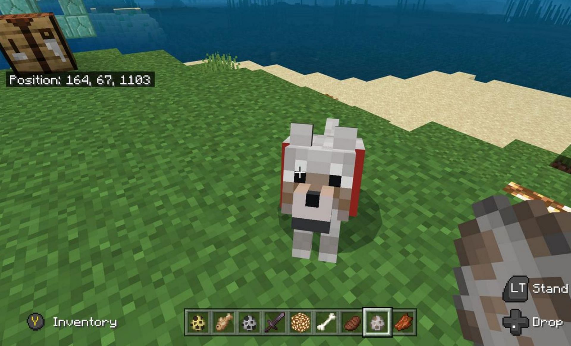 Tamed Minecraft wolf (Image via Mojang)